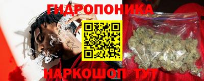 винт Гатчина