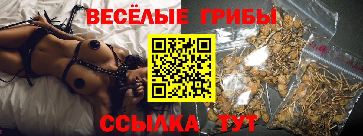 Мирный  Псилоцибиновые грибы ЛСД  Вход с VPN 